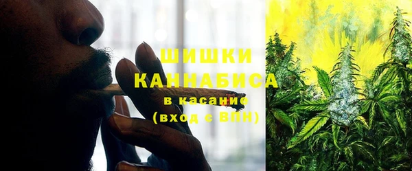 ПСИЛОЦИБИНОВЫЕ ГРИБЫ Наволоки