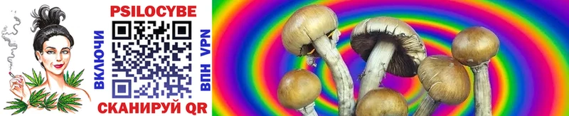 Псилоцибиновые грибы Magic Shrooms  Кувандык 