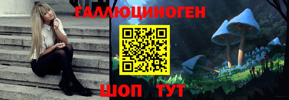 Кувандык  Галлюциногенные грибы Cubensis  Галлюциногенные грибы GOLDEN TEACHER  Вход с VPN 