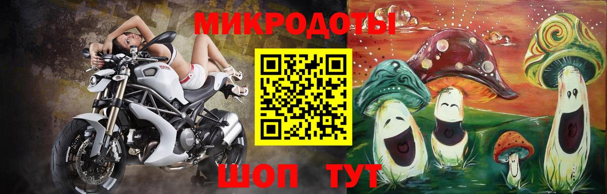 Галлюциногенные грибы Psilocybine cubensis  что такое   Кувандык 